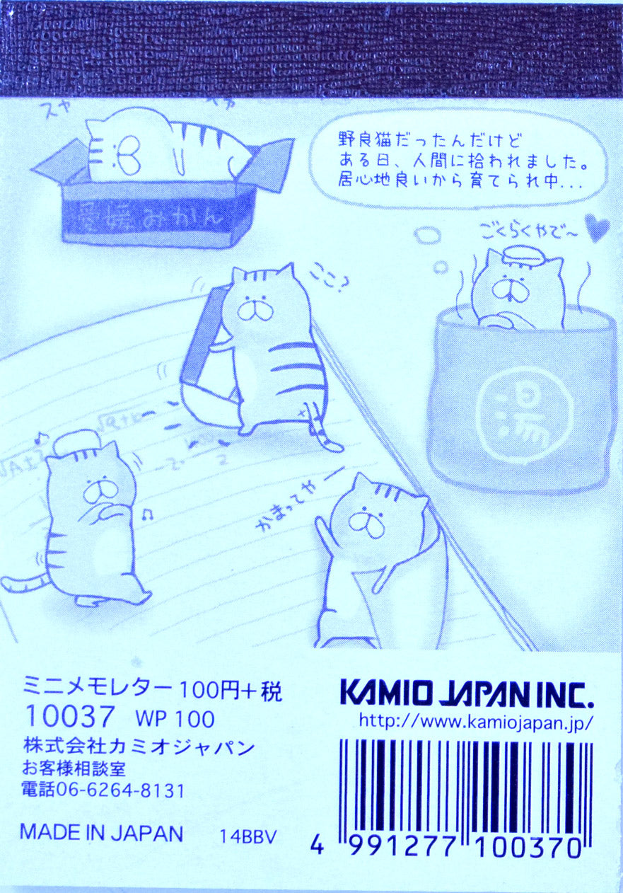 KJ10037 Kamio Japan Small Memo Pad - Cat in a Box